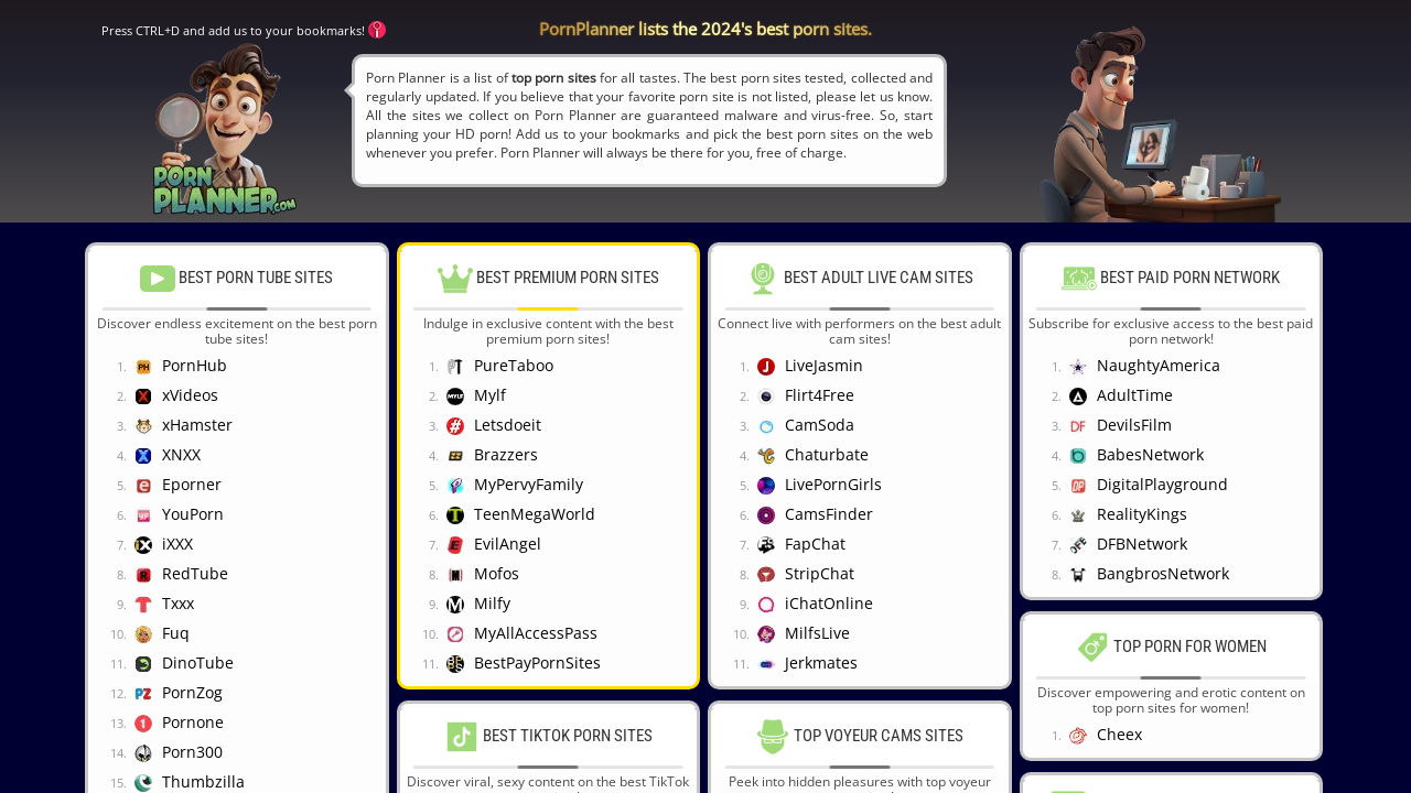 Screenshot of pornplaner.com