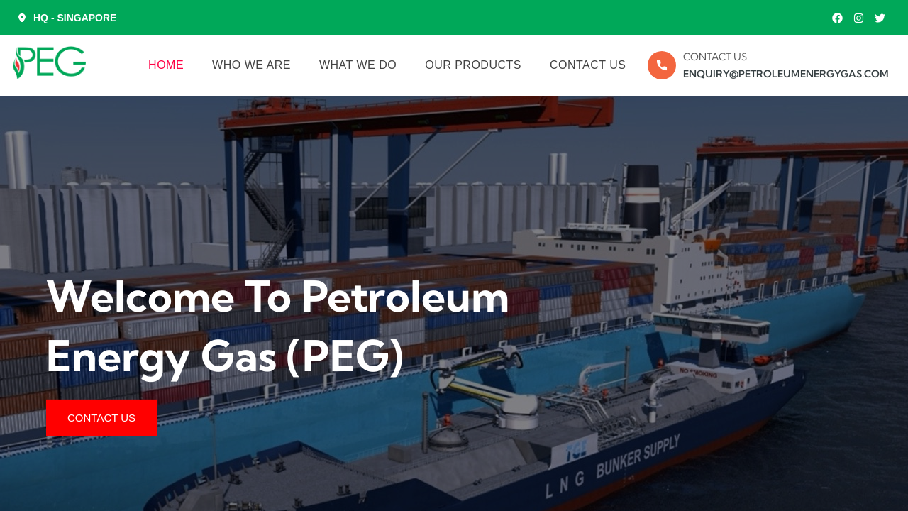 Screenshot of petroleumenergygas.com