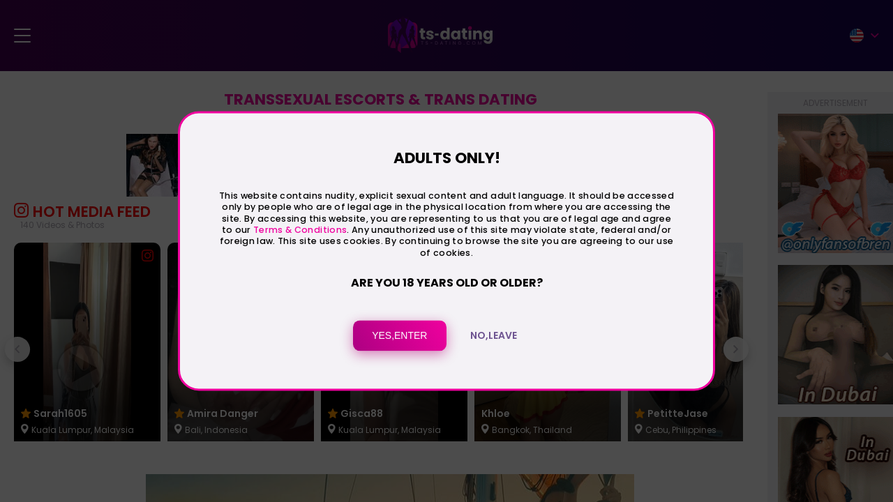 Screenshot of shemalelisting.com