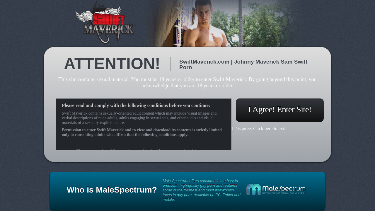 Screenshot of swiftmaverick.com