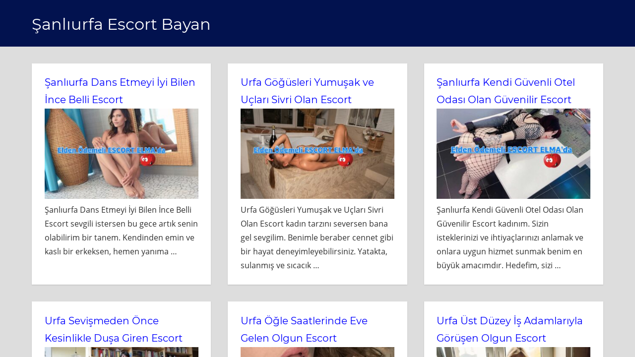 Screenshot of sanliurfadans.com