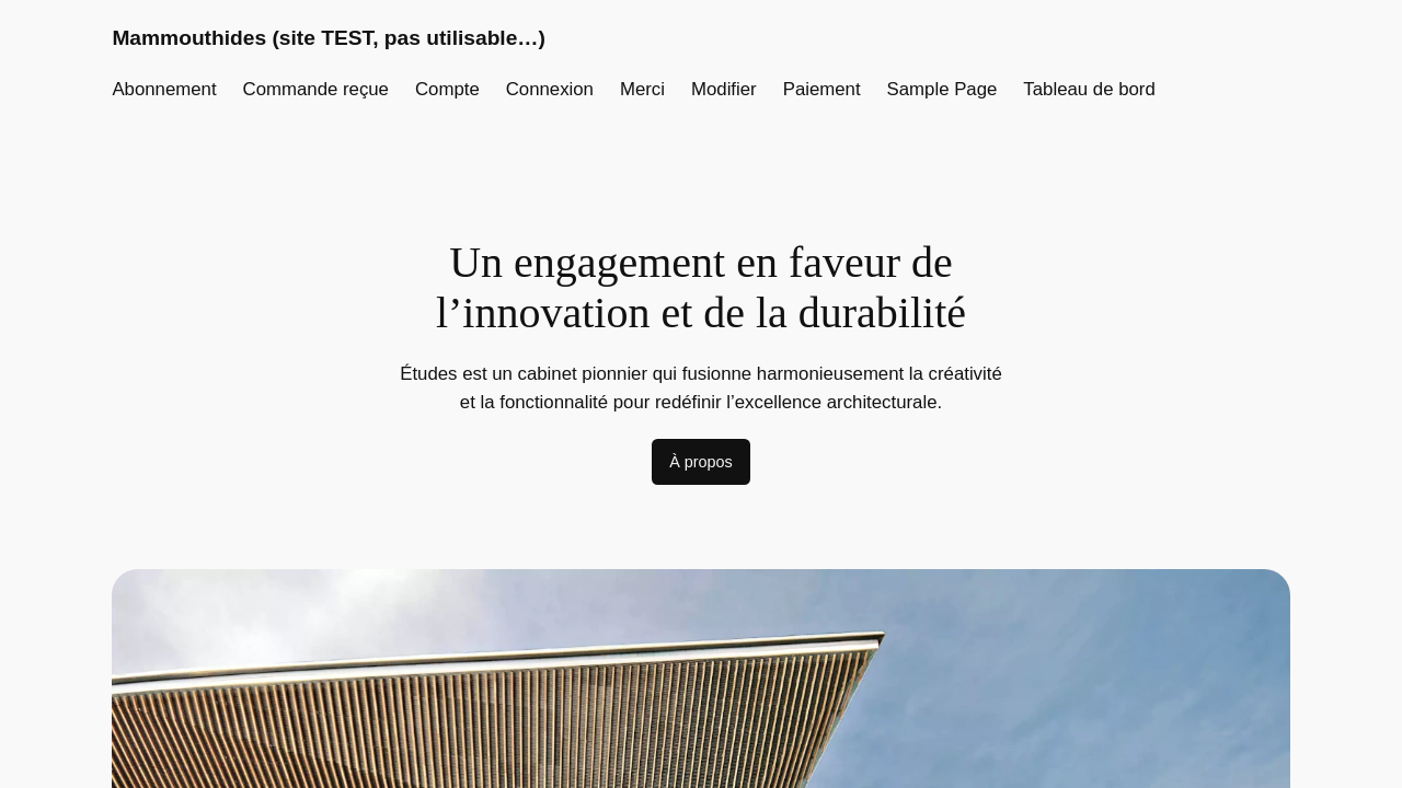 Screenshot of mammouthides.timlib.com