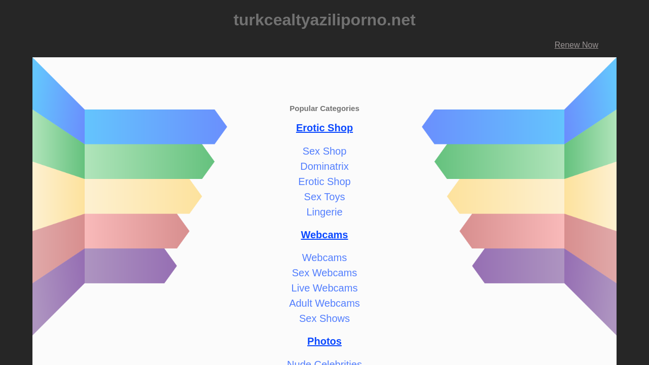 Screenshot of turkcealtyaziliporno.net