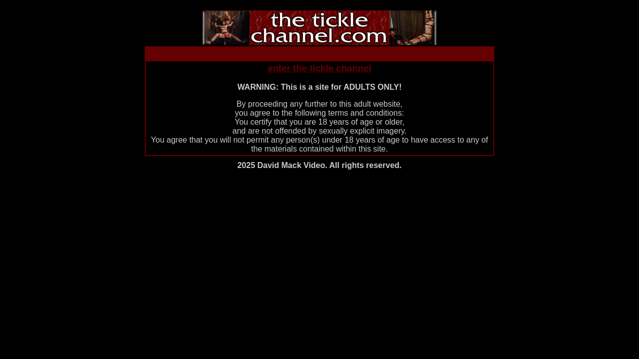 Screenshot of theticklechannel.com