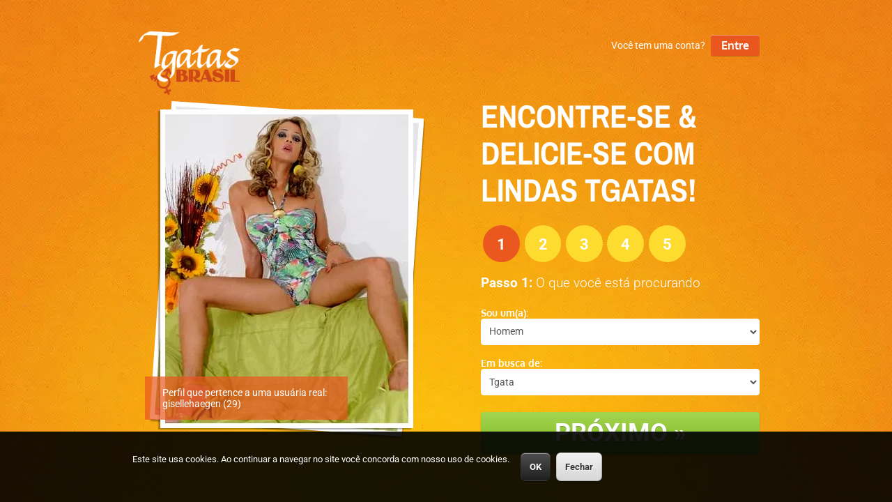 Screenshot of tgatasbrasil.net