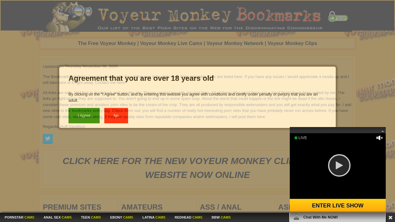 Screenshot of voyeurmonkeybookmarks.com