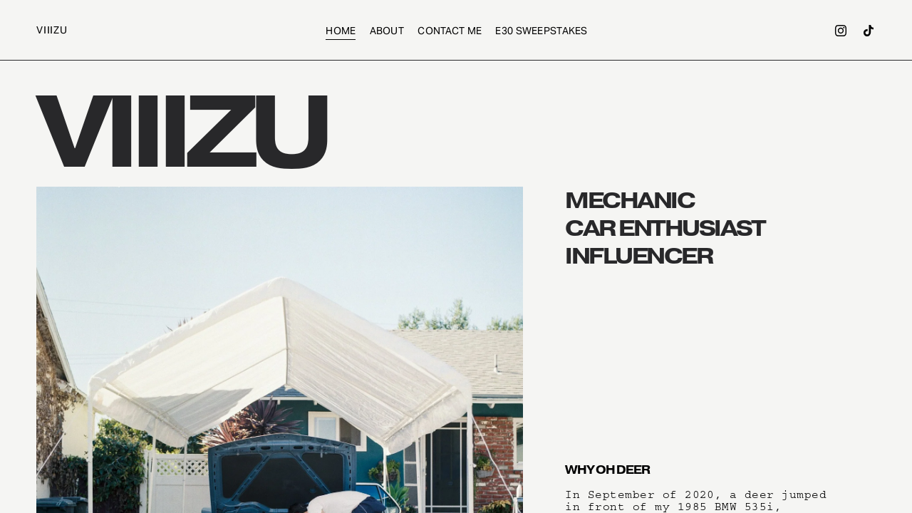 Screenshot of viiizu.com