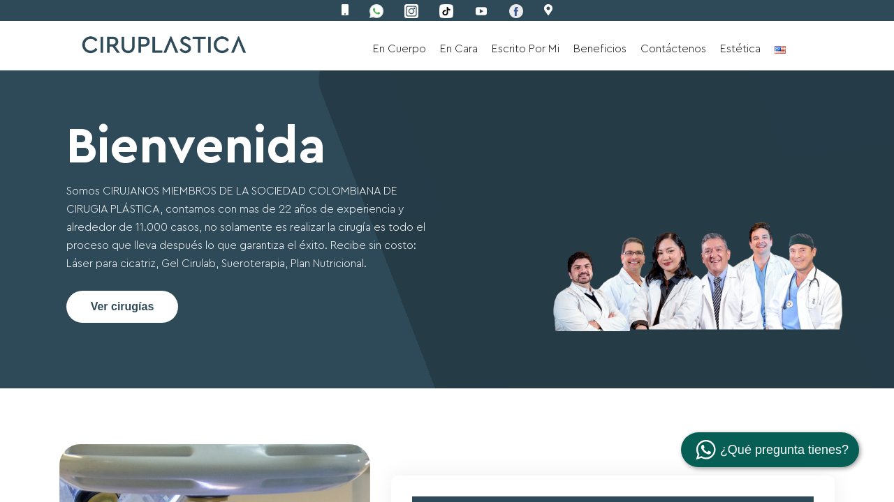 Screenshot of ciruplastica.com.co