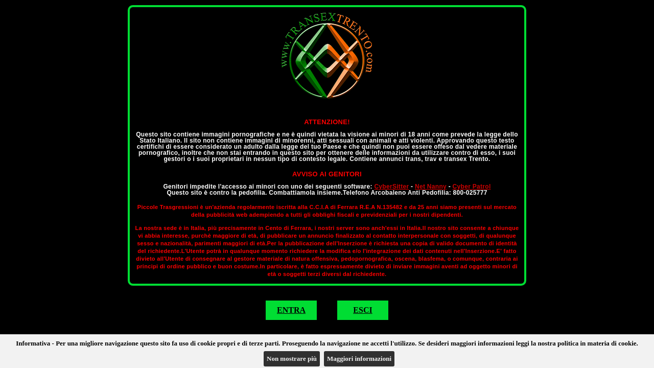 Screenshot of transextrento.com