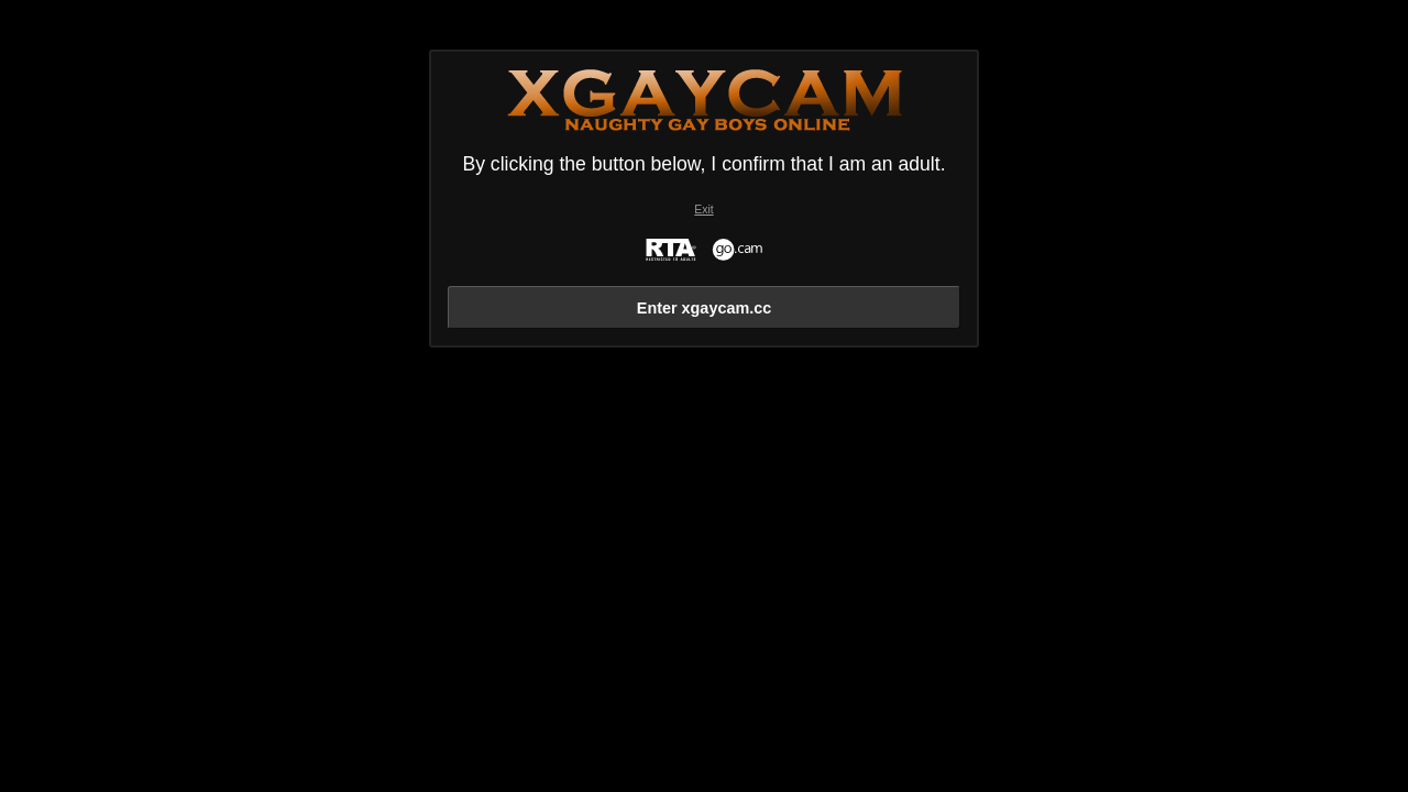 Screenshot of xgaycam.cc