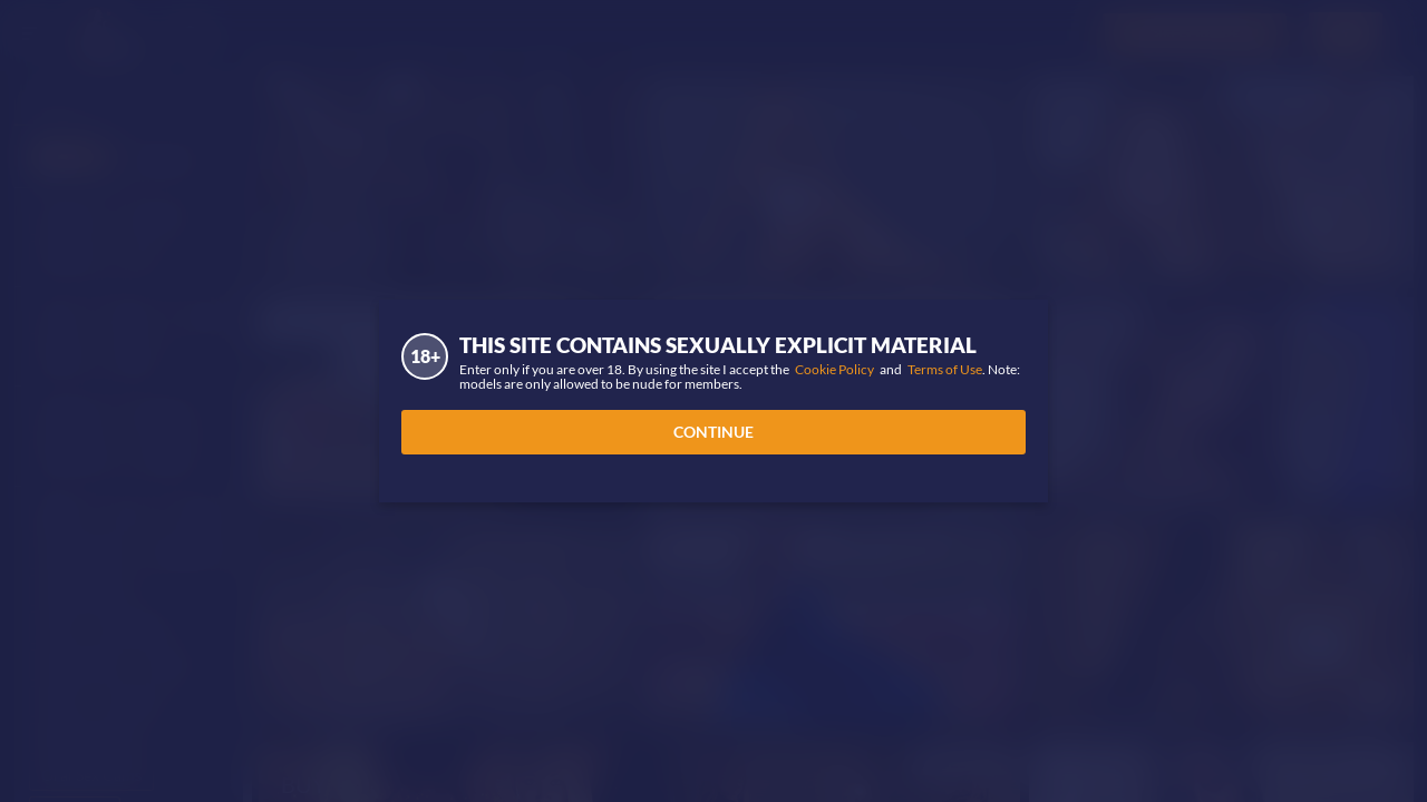 Screenshot of 1.cams.com