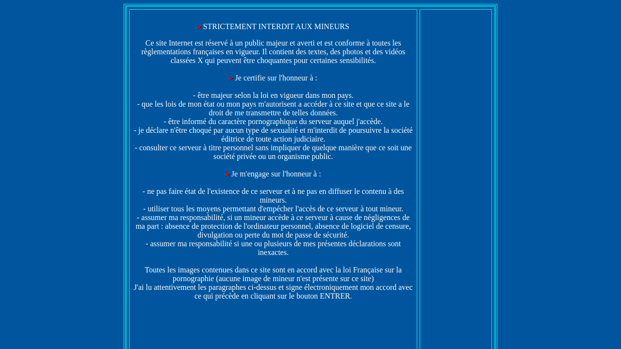 Screenshot of 123femmes.free.fr