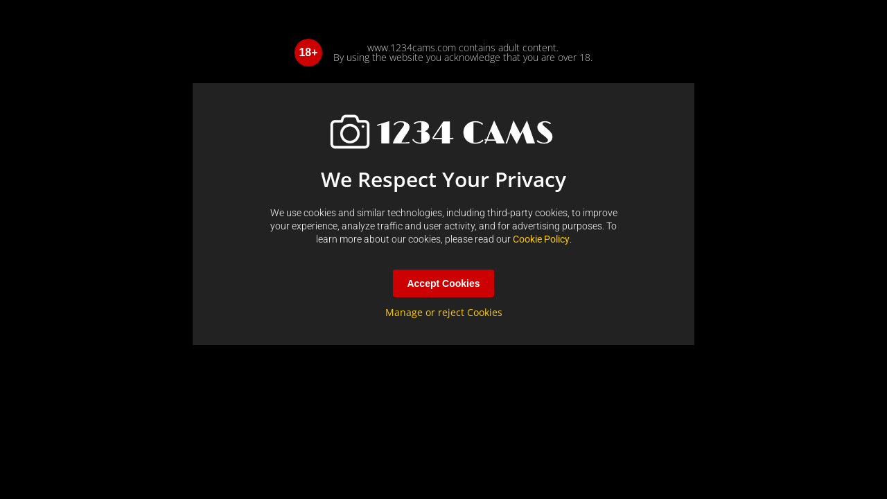 Screenshot of 1234cams.com