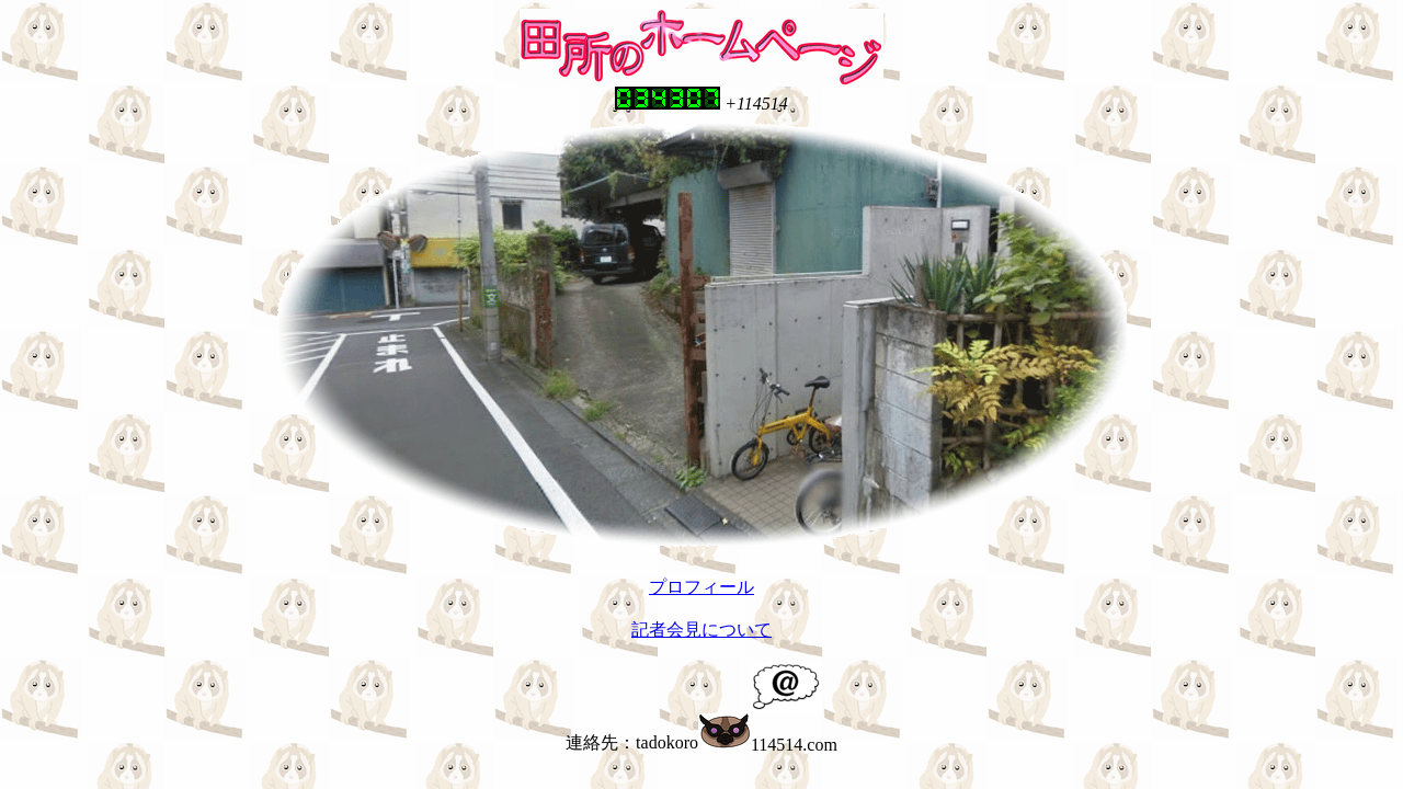 Screenshot of 114514.com