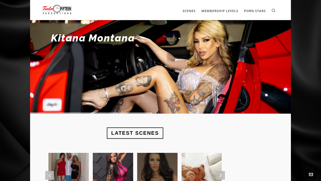 Screenshot of 1215group.com