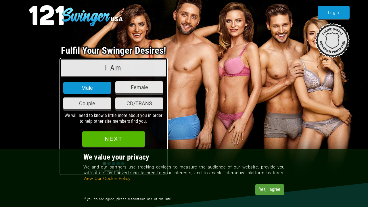 Screenshot of 121swingerusa.us