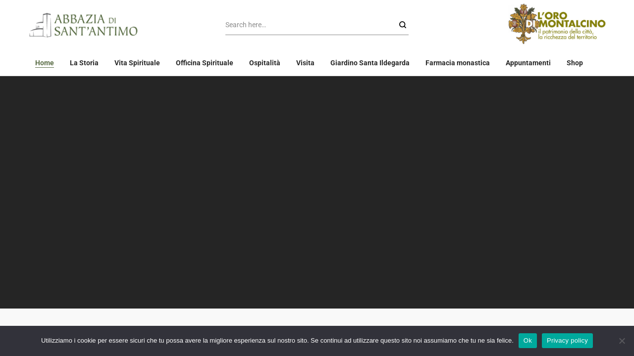 Screenshot of www.antimo.it