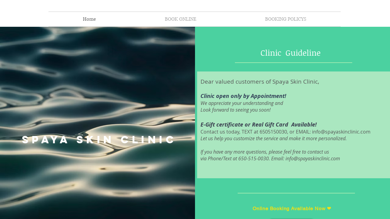 Screenshot of spayaskinclinic.com