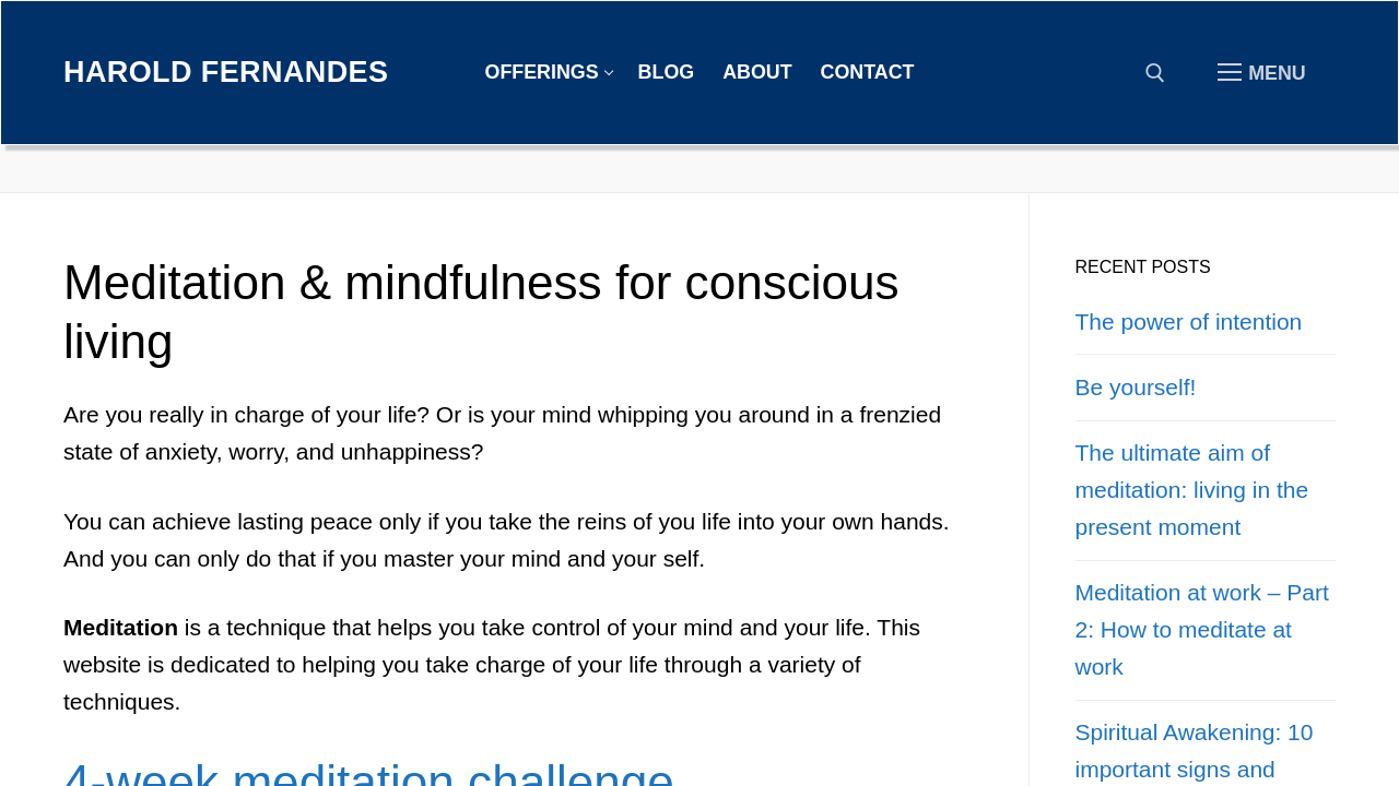 Screenshot of haroldfernandes.com