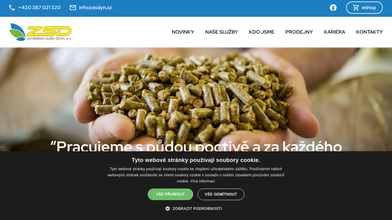 Screenshot of zsdyn.cz