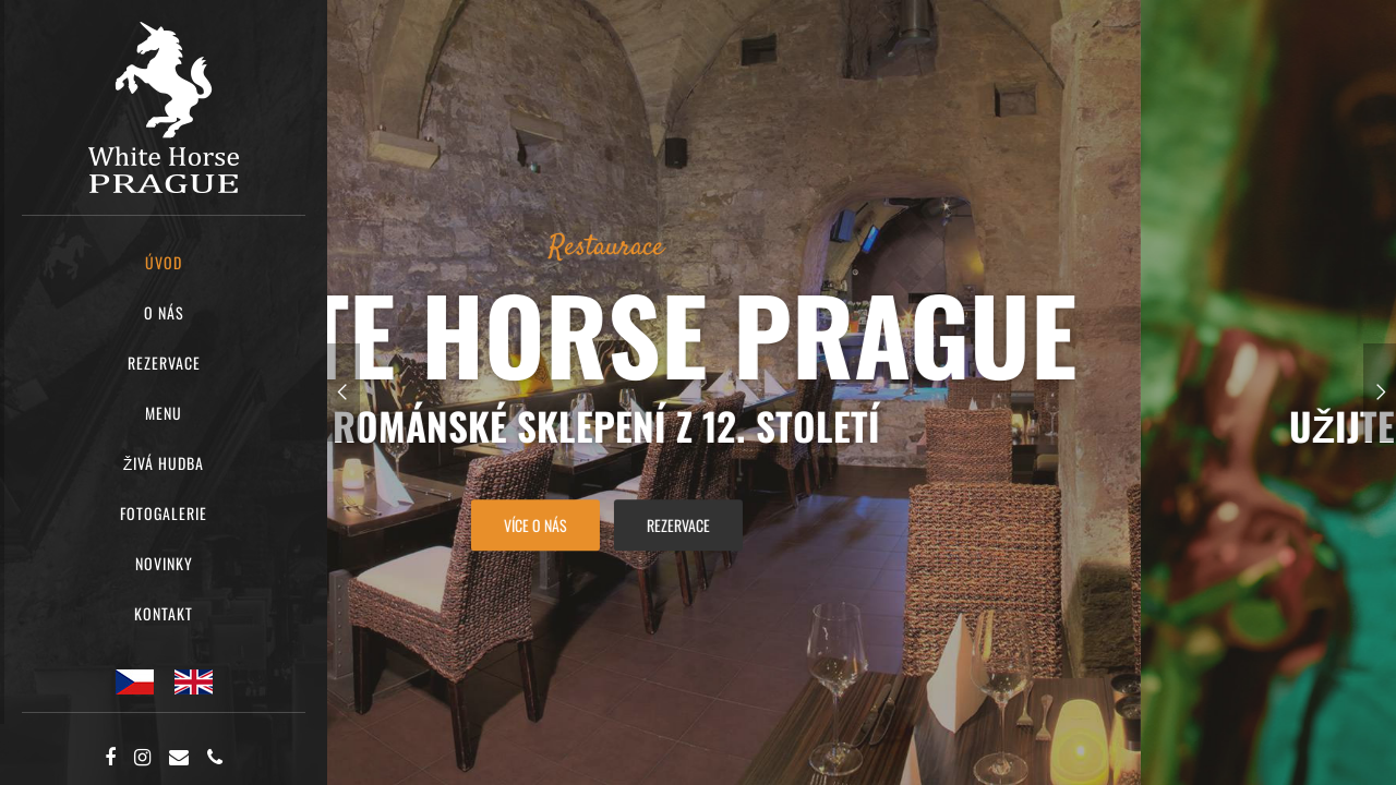 Screenshot of bilykonicek.com