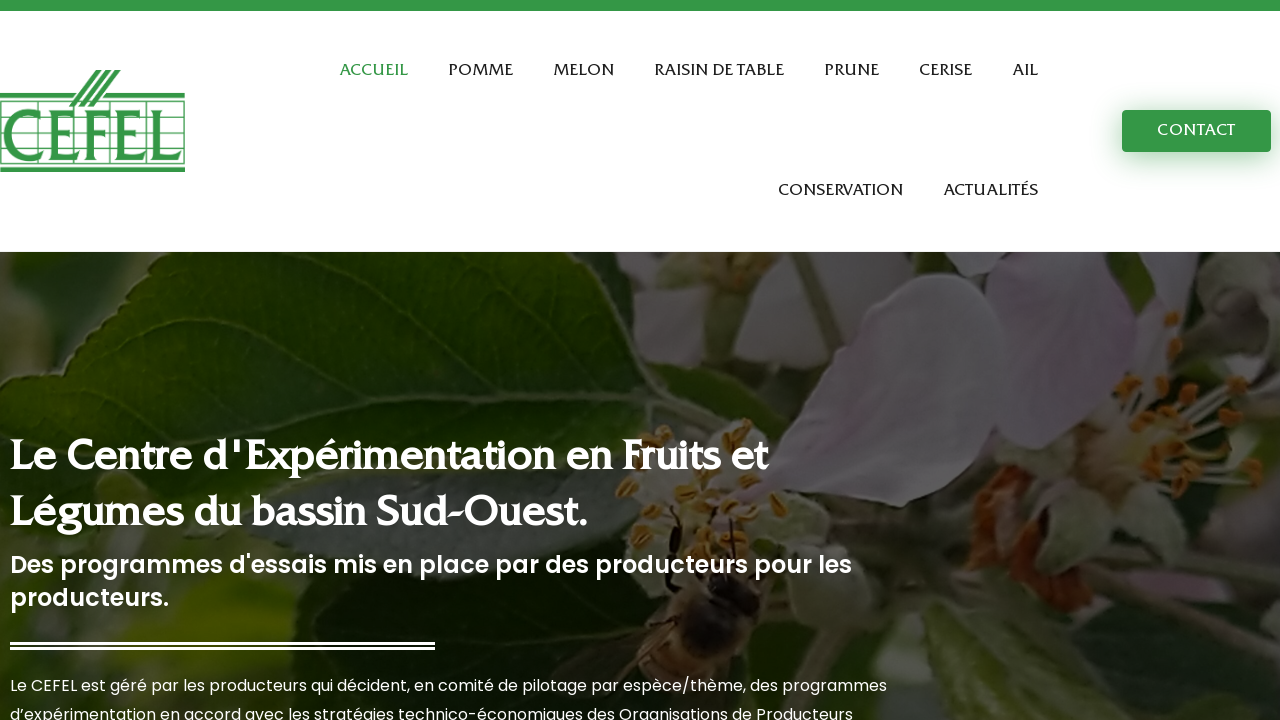 Screenshot of cefel.eu