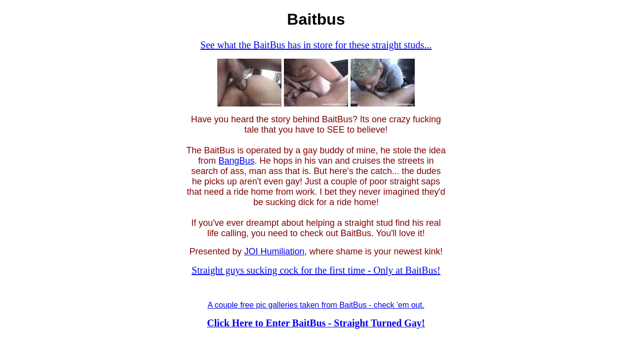 Screenshot of baitbus1.com