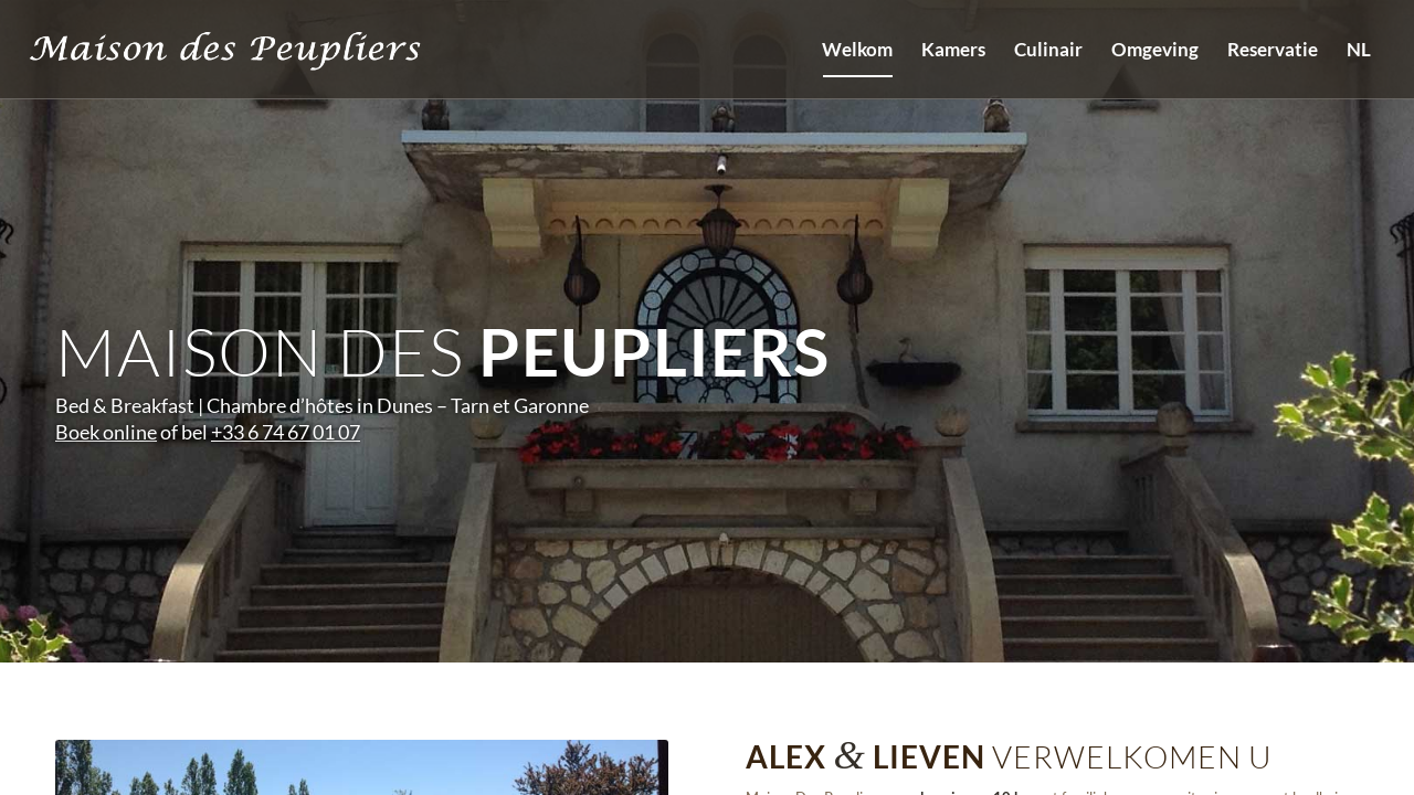 Screenshot of dunes.be