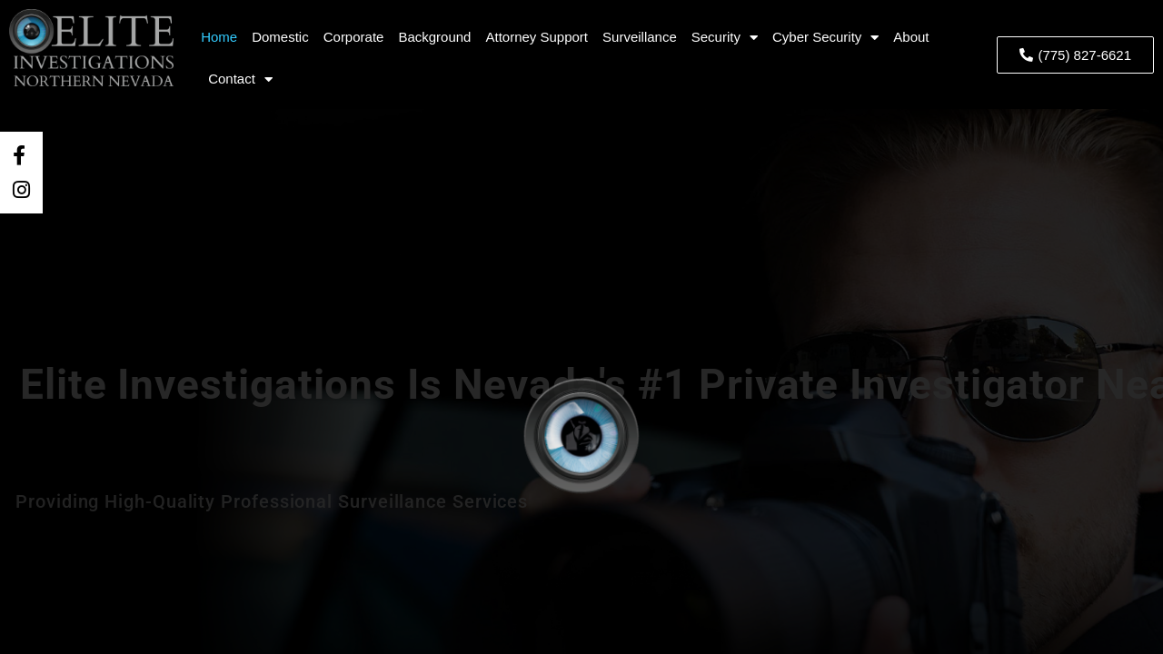 Screenshot of www.eliteinvestigationsreno.com
