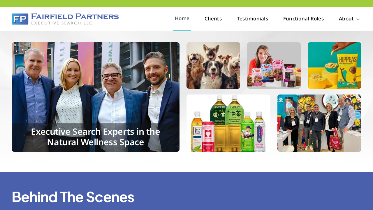 Screenshot of fairfieldpartners.com