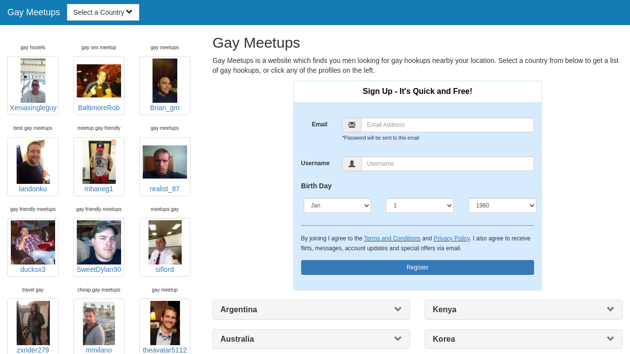 Screenshot of local-gay-hotels.com