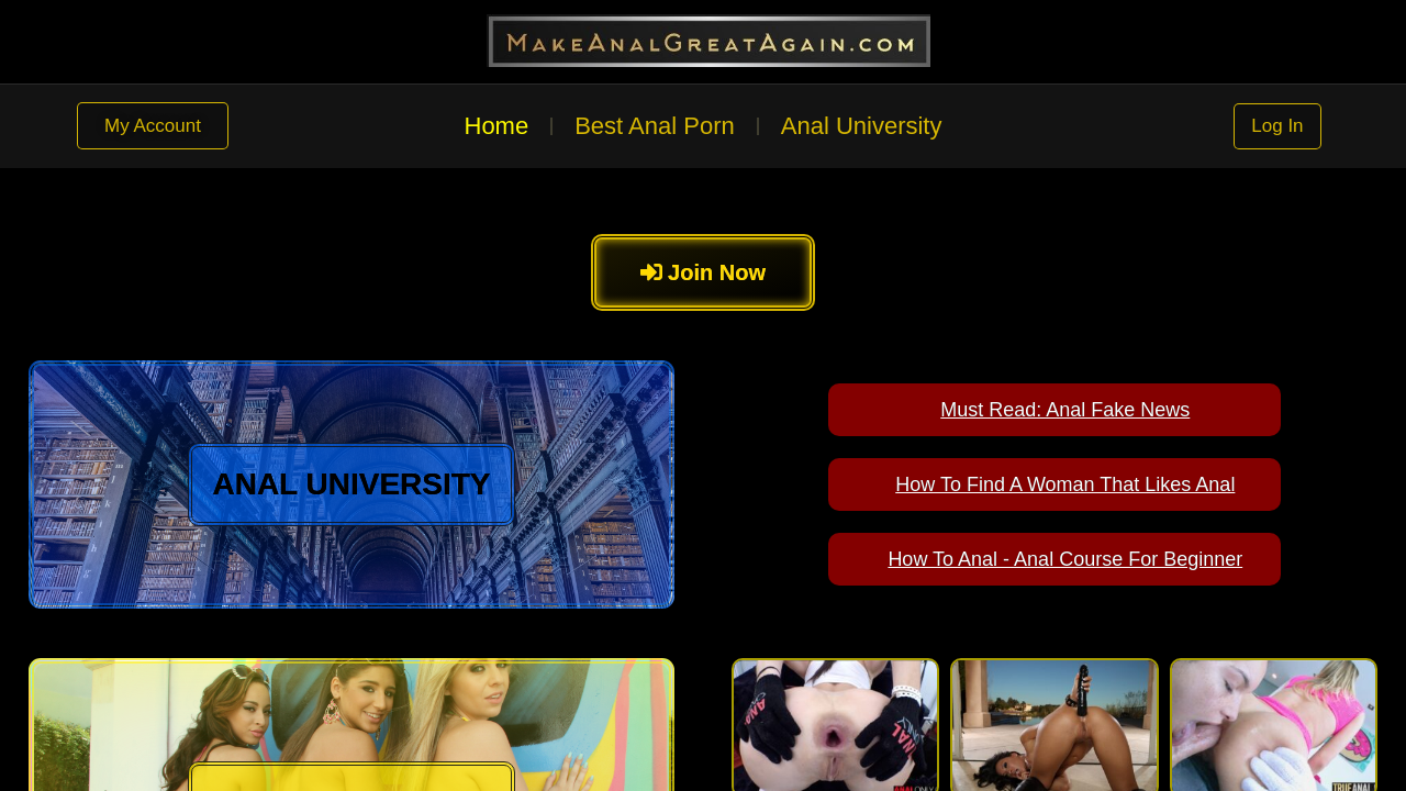 Screenshot of makeanalgreatagain.com