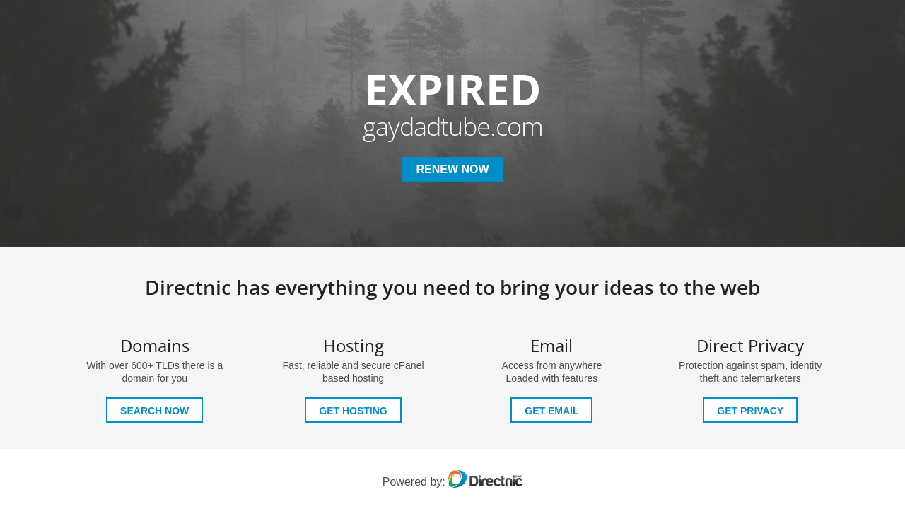 Screenshot of gaydadtube.com