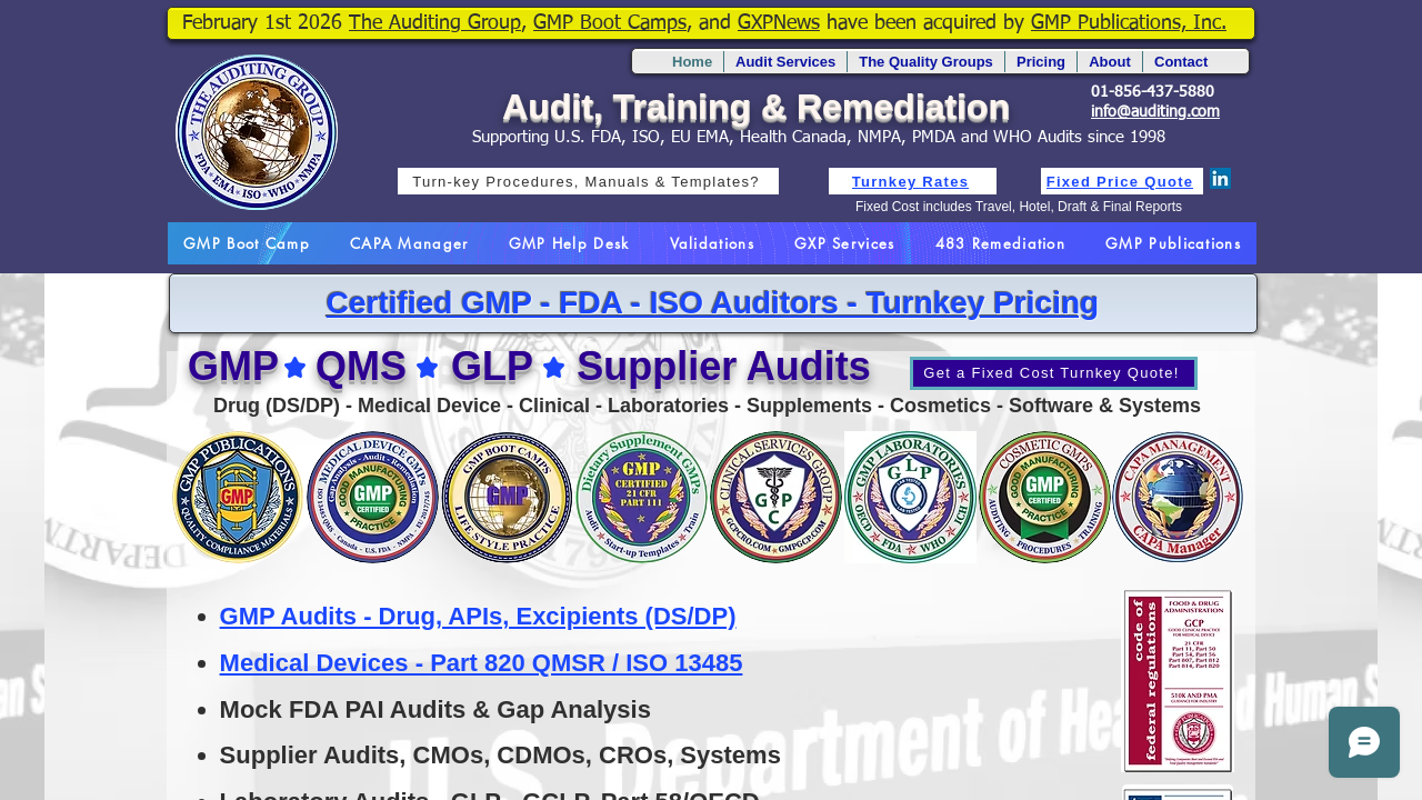 Screenshot of www.auditing.com